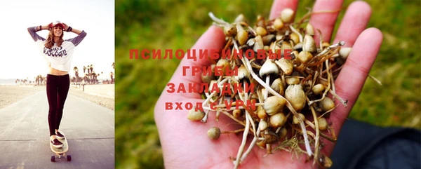 mix Абаза